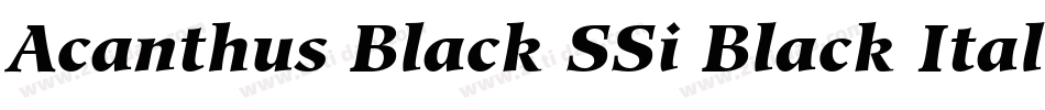 Acanthus Black SSi Black Italic字体转换